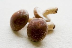 しいたけの石づき処理と洗わずにきれいにする方法